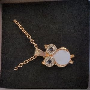 Owl necklace NWT
